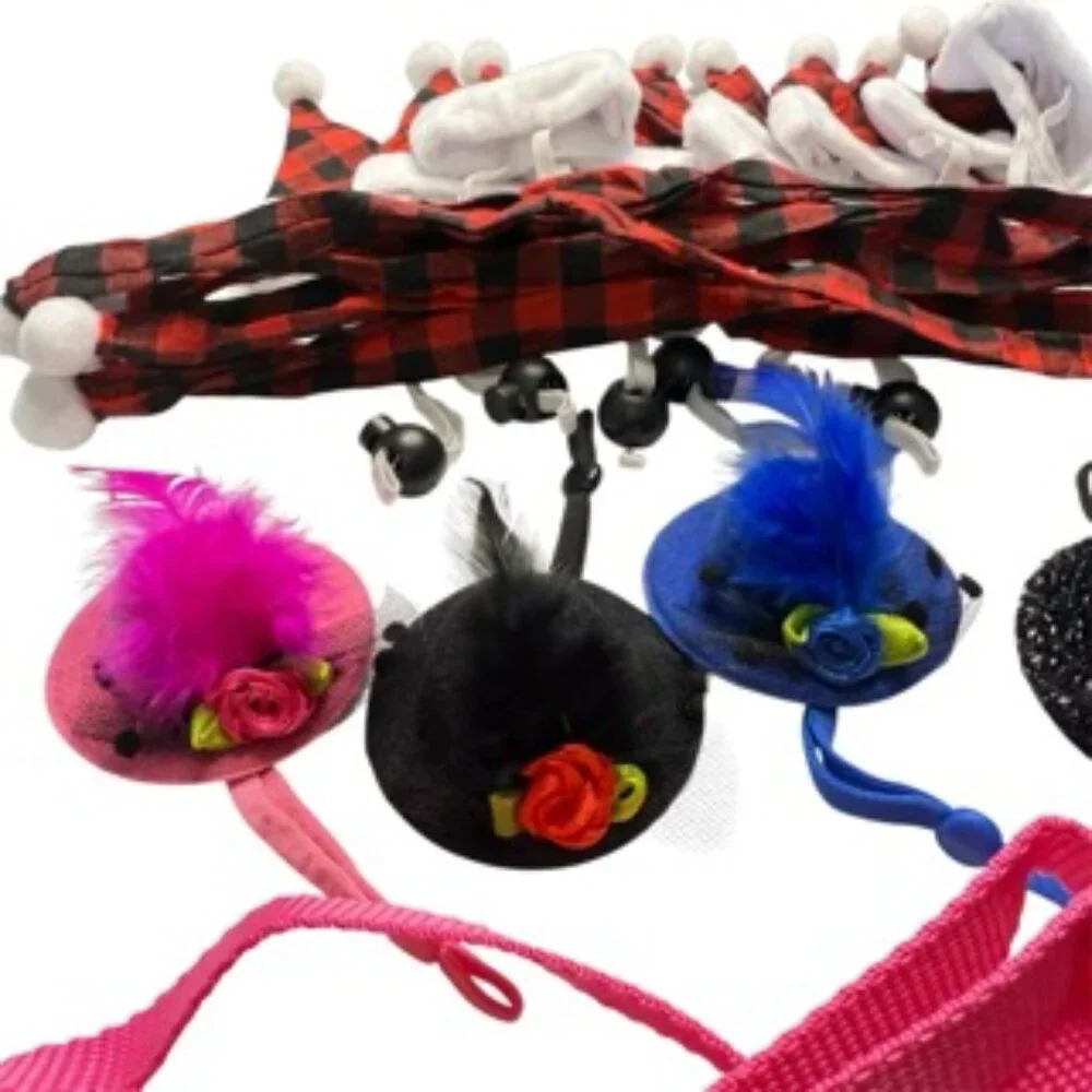 Chicken hats and accessories